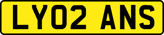 LY02ANS