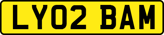 LY02BAM