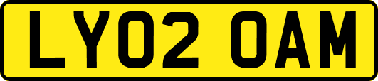 LY02OAM