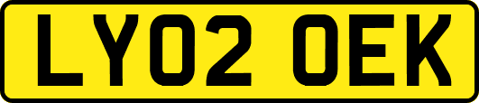 LY02OEK