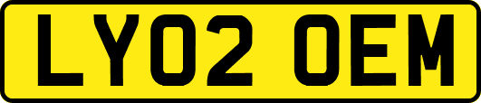LY02OEM