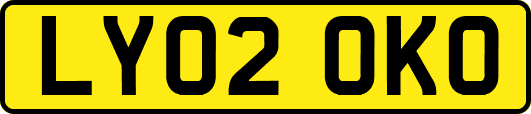 LY02OKO