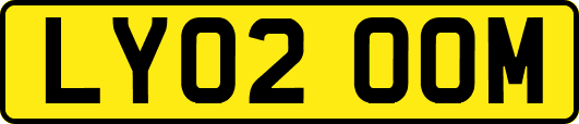 LY02OOM