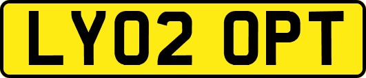 LY02OPT