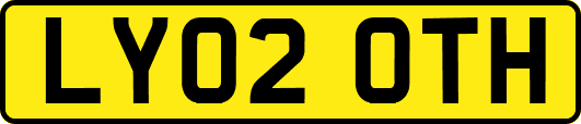 LY02OTH