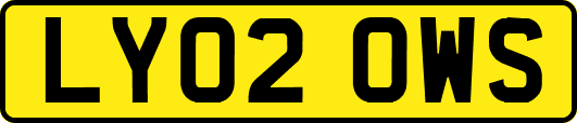 LY02OWS