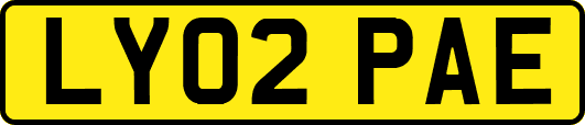LY02PAE
