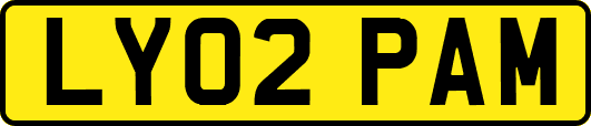 LY02PAM