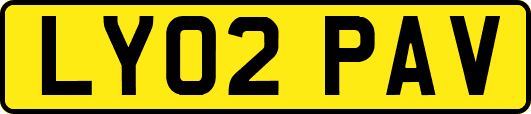 LY02PAV