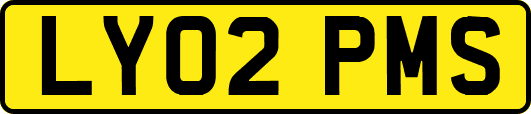 LY02PMS