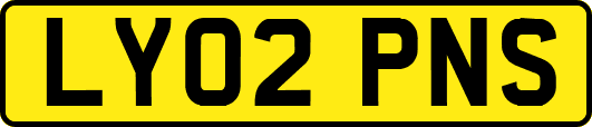 LY02PNS