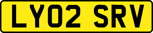 LY02SRV