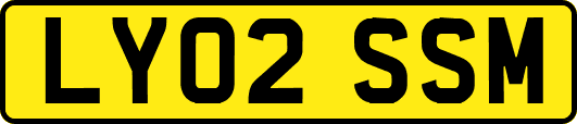 LY02SSM