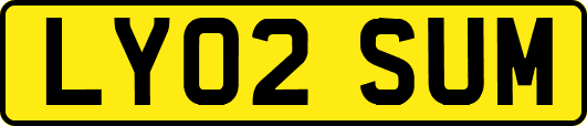 LY02SUM
