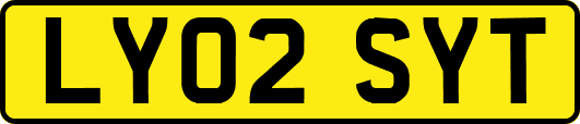 LY02SYT