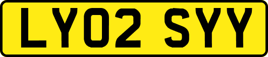 LY02SYY