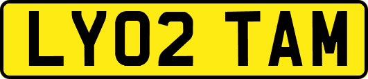 LY02TAM