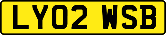 LY02WSB
