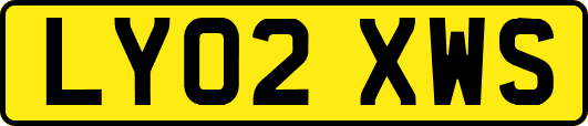 LY02XWS