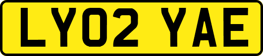 LY02YAE