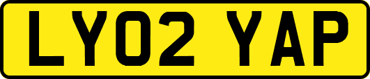 LY02YAP