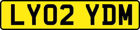 LY02YDM