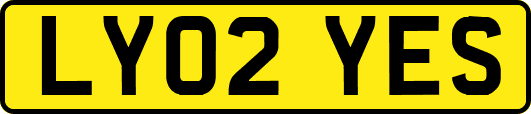 LY02YES