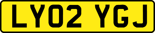 LY02YGJ