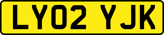 LY02YJK