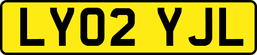 LY02YJL