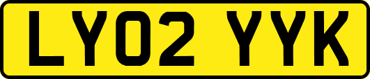LY02YYK