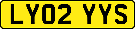 LY02YYS