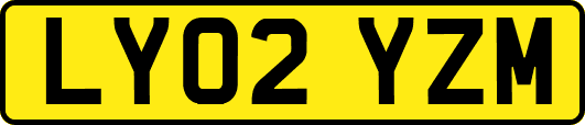 LY02YZM
