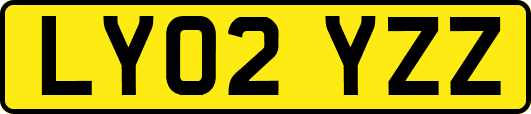 LY02YZZ