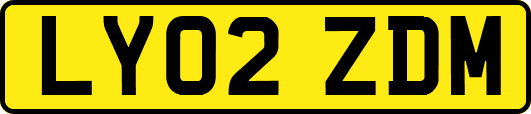 LY02ZDM