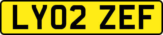 LY02ZEF