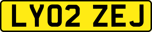 LY02ZEJ