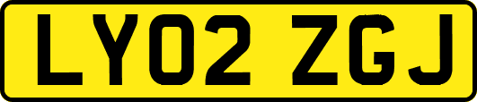 LY02ZGJ