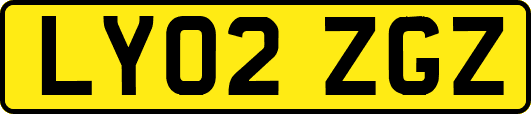 LY02ZGZ