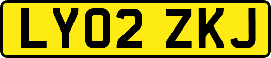 LY02ZKJ