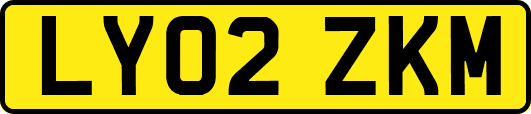 LY02ZKM