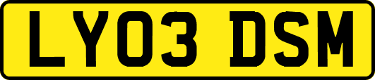 LY03DSM