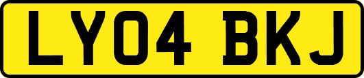 LY04BKJ