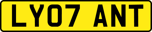 LY07ANT