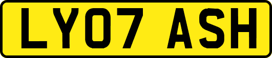 LY07ASH