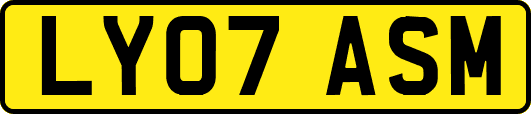 LY07ASM