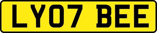 LY07BEE