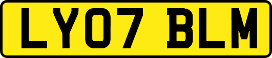 LY07BLM