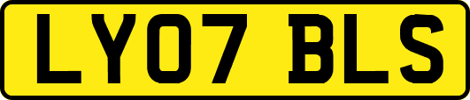 LY07BLS