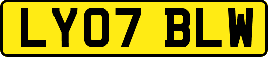 LY07BLW